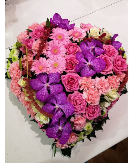 COEUR CAMAIEU DE ROSE