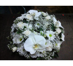 Composition Ronde Blanche