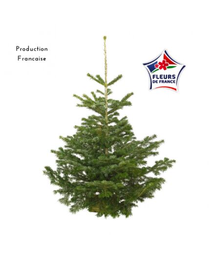 SAPIN 126/150 CM 