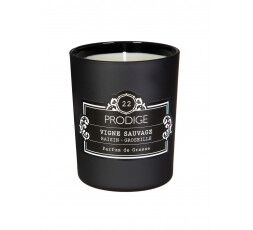 Bougie parfumée VIGNE SAUVAGE 