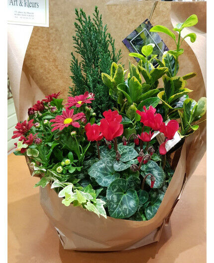 Coupe de plantes exterieures