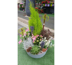 coupe de plantes