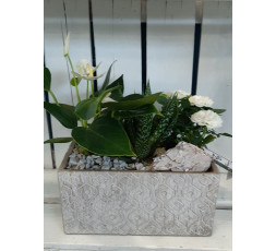 Jardin de Plantes N°3