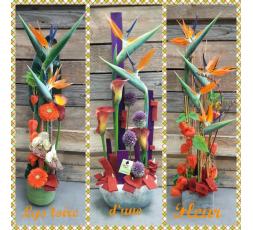 Composition hauteur colorée