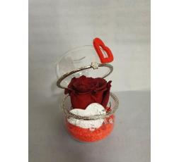 ÉCRIN DE ROSE ÉTERNELLE ROUGE 