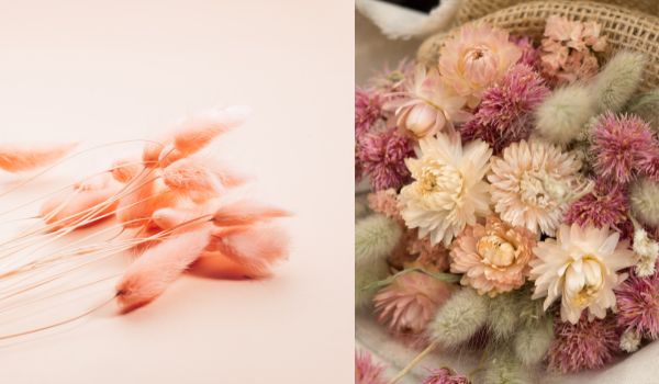 fleurs séchées mariage